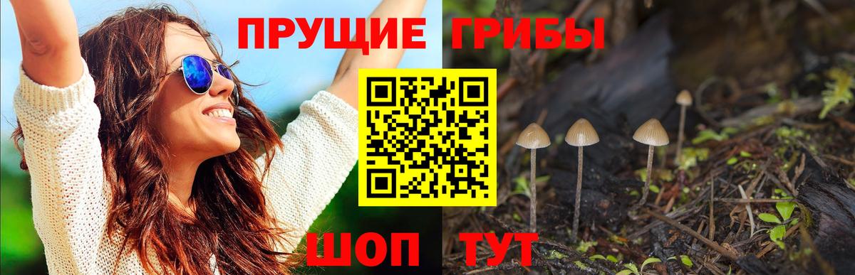 Торжок  Галлюциногенные грибы Psilocybine cubensis  Псилоцибиновые грибы Psilocybine cubensis  Вход с VPN 
